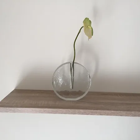 Piso Centrico De 100 M2 *